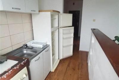 Inchiriez apartament 1 camera cu centrala gaz, Miron Costin - 5