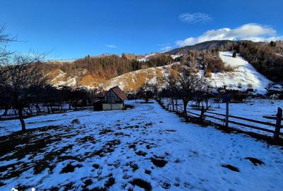 Teren de 4318 mp, în Bran - 18
