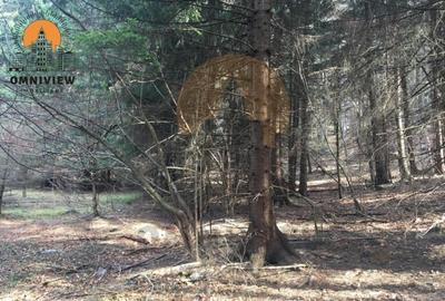 Oportunitatea Investițională în Poiana Brașov - Teren 2000 mp, Zonă Verde 2 - 6