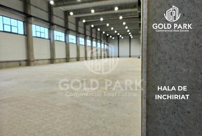 Spatiu Industrial -Zona Autostrazii A3 -10.000 mp Hala Depozitare - 1