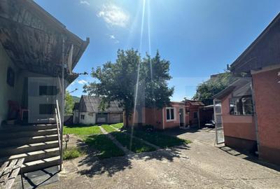 Casa saseasca de vanzare, curte, gradina, teren 3000 mp - Ji - 3