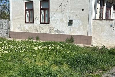 Casă cu Teren 6000 Mp în Șandra - 1