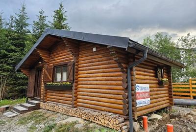 1140mp si cabana Obarsia Lotrului Transalplina 3km partia ski, TOATE UTILITATILE - 2