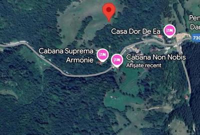 Teren extravilan 4 mp Valea Cheii Dambovicioara - 4