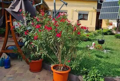 Casa de vanzare sau schinb - 1