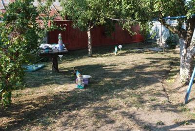 Imobiliare casa de vanzare - 3