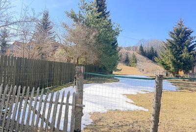 Teren Construcții intravilan de 2300 mp, în Valea Doftanei - 6