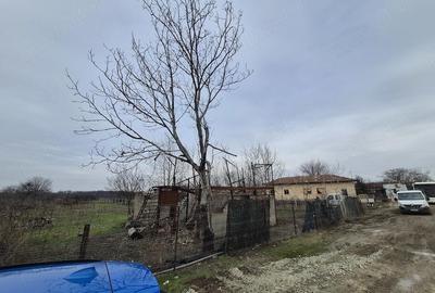 Teren de 1486 mp, în Pruni - 4