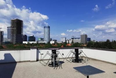 Floreasca Lux Ap 3 cam langa lac 166mp - 4