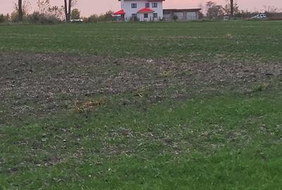 Teren 500 mp cu Autorizație de Construire și proiect pt casă parter. Utilități. Teren 500 mp cu Autorizație de Construire și proiect pt casă parter. Utilități. - 3