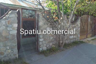 Casă cu 4 camere în Filipeștii de Târg - 8