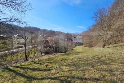 Casă cu Teren 6820 Mp în Almașu Mare - 2