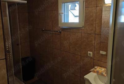 Casă cu 3 camere cu Teren 3500 Mp în Satu Mare - 8