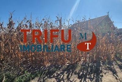Teren intravilan 2464 mp de vanzare pe soseaua de centura - 3