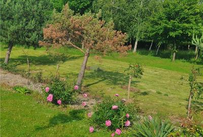 Teren Construcții intravilan de 900 mp, în Săcel - 2