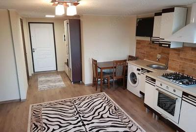 Apartament cu 2 camere de vanzare in zona Gorjului Apartament cu 2 camere de vanzare in zona Gorjului - 2