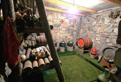 Casă cu 10 camere cu Teren 1100 Mp în Șotânga - 1