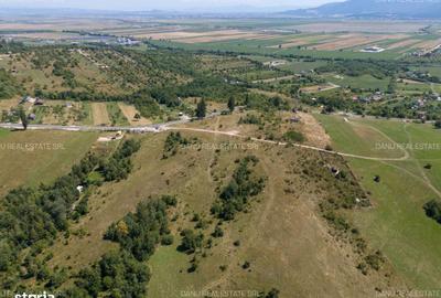 Spațiu comercial, în Vulcan - 13