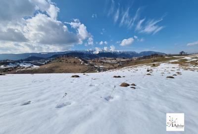 Teren De Vanzare In Sirnea - 21