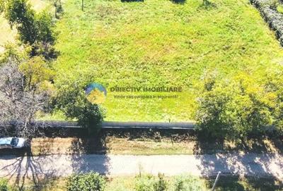 TEREN intravilan ROZNOV - CHINTINICI - 2