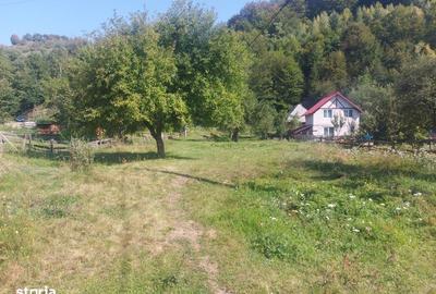 Teren de 1784 mp, în Avram Iancu - 7