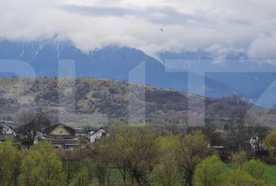 Apartament cu 2 Camere de Vanzare in Zarnesti - 9