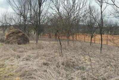 Teren de 1064 mp, în Bârlea - 1