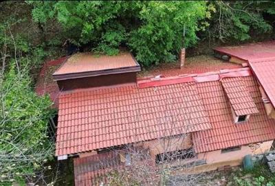 Casă cu 3 camere în Bumbești-Jiu - 2