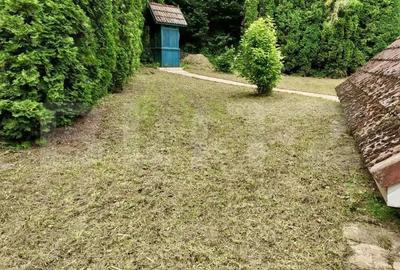 Casa de Vacan?a pe Valea Ighielului 3 camere, 2500 mp curte - 19