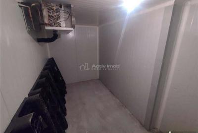 Moldova Noua, Proprietate cu Destinatie Multipla: Hala Productie Procesare a Carnii, Teren Intravila - 2