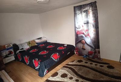 Casă cu 2 camere cu Teren 1800 Mp în Tronari - 3