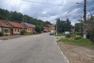 Oravita, Casa cu Spatiu Comercial, Zona Lacul Mic, Pret Nego - 13