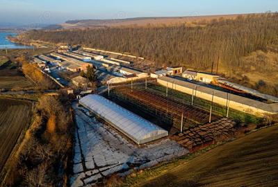 Spațiu comercial, de 50,000 mp, în Horgești - 3