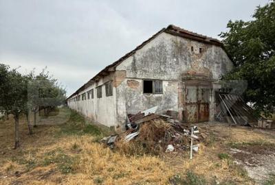 Ferma de Vanzare in judetul Timis, la nord est de Timisoara, - 25