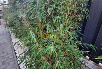 Iancu Nicolae Jolie Ville, vila noua, 7 camere, 4 locuri de parcare - 54