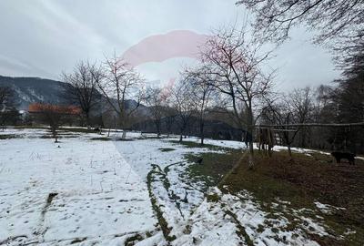 Teren Zarnesti /Bran/Predelut6 Strada Pe tarina Teren Zarnesti /Bran/Predelut6 Strada Pe tarina - 9