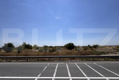 Teren intravilan, 13.025 mp, 40mp deschidere zona Carcea - 5