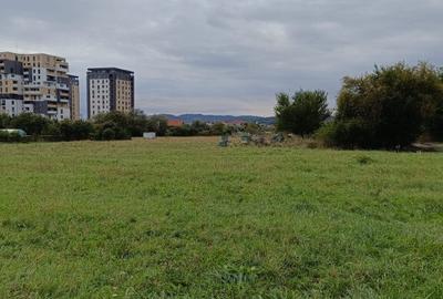 Teren intravilan 8000 mp , DR.D.Vechi - 10