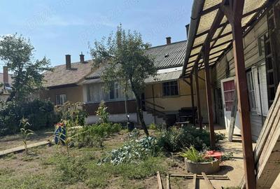 Oferta: casa mare Salonta Oferta: casa mare Salonta - 1