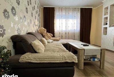 Casă cu 5 camere cu Teren 7700 Mp în Ineu - 3