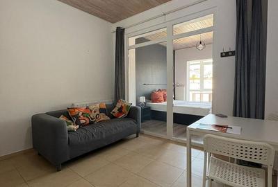 Apartament cu 2 camere semidecomandat, mobilat în Grivița - 2