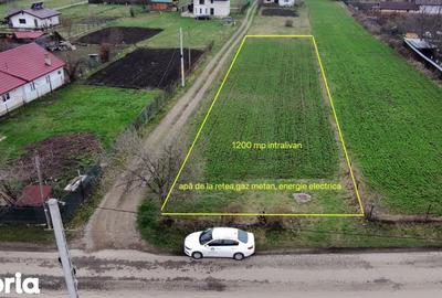 Teren de 1200 mp, în Alexandru cel Bun - 9