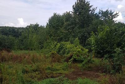 Casă cu 5 camere cu Teren 1700 Mp în Bucium - 8