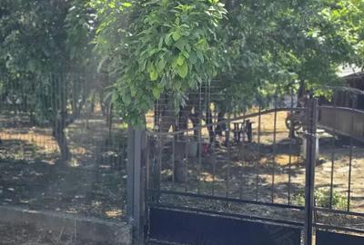 Casă cu 3 camere în Brezoaele - 9