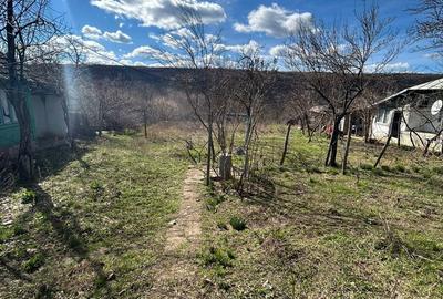 Casă cu 2 camere în Central - 4