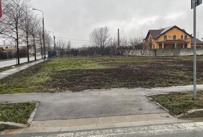 Spațiu comercial, în Paleu - 4