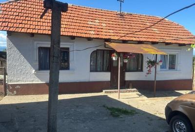 Casa traditionala cu teren generos la tara – Gorj, Șomanesti - 2