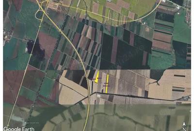 Teren agricol 5 Ha in Arad zona Sannicolau Mic, 12.000 Euro Ha - 1
