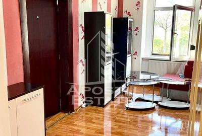 Casă cu 2 camere cu Canalizare în Iosefin - 7