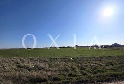 Spațiu comercial, în Giroc - 7